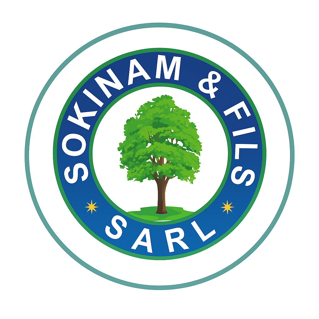 Du bois brut aux projets réussis : l’expertise de Sokinam & Fils