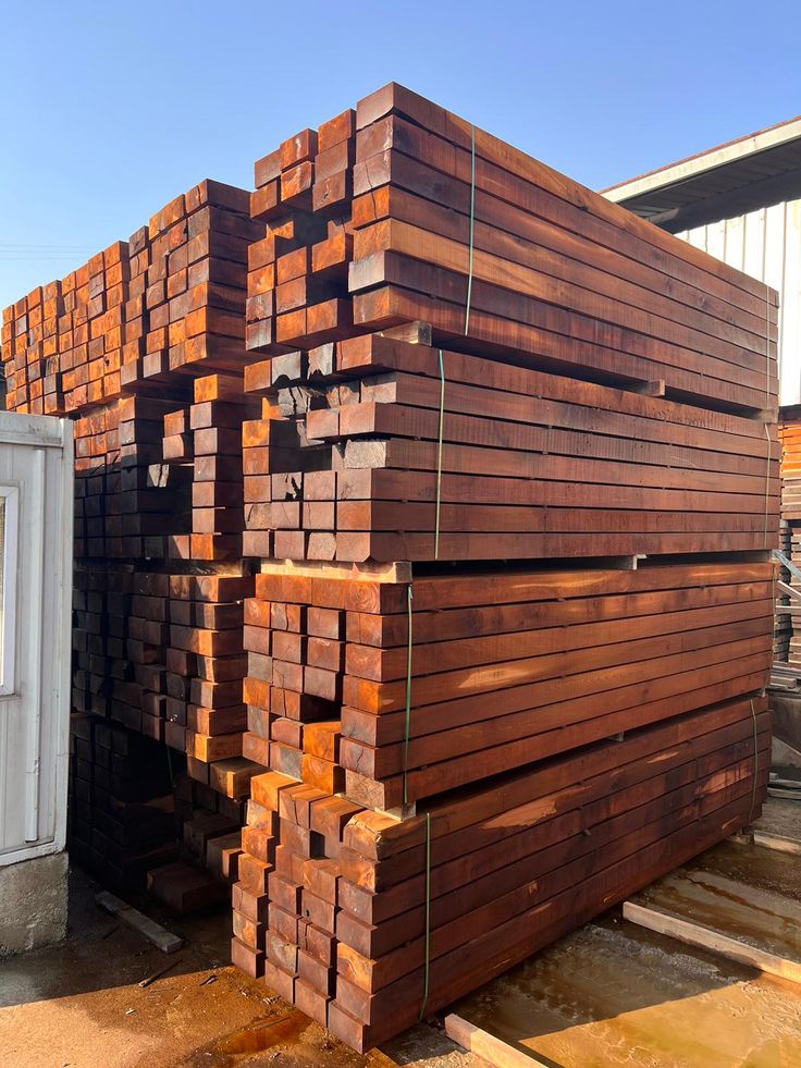 Comment choisir le bon bois pour vos projets : conseils d’experts de Sokinam & Fils